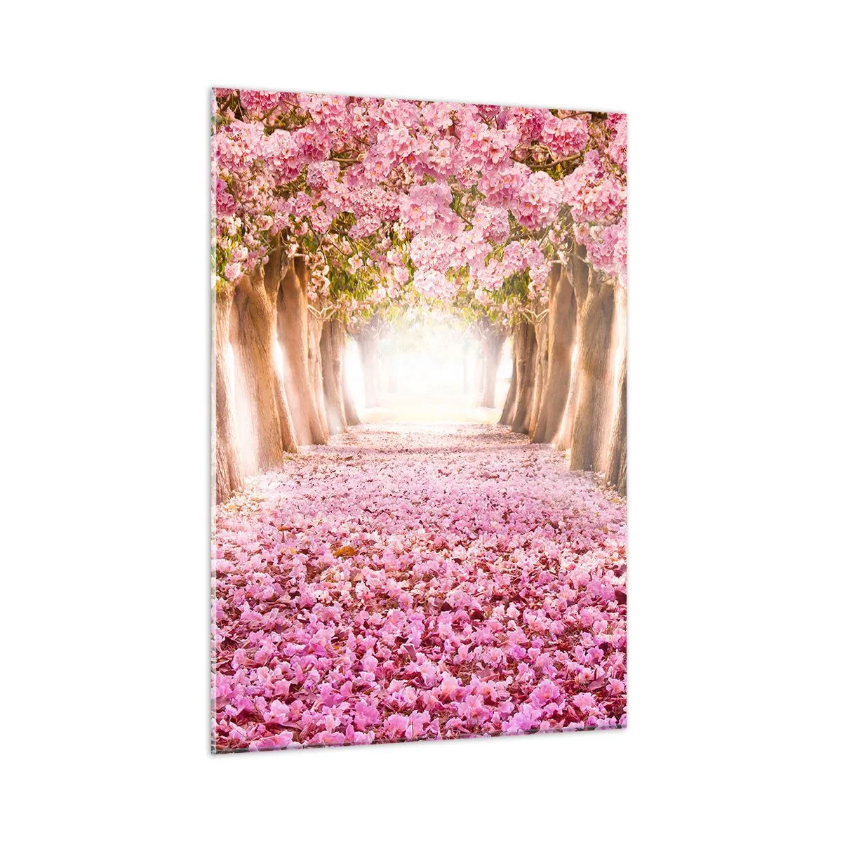Obraz na szkle - Aleja kwitnących drzew z różowymi płatkami na ziemi - 50x70cm - Droga do raju - Nowoczesna dekoracja ścienna do salonu, kuchni i sypialni ARTTOR