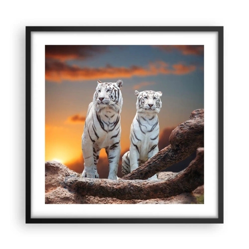 Plakat w czarnej ramie - Zupełnie jak w Narni - 50x50 cm