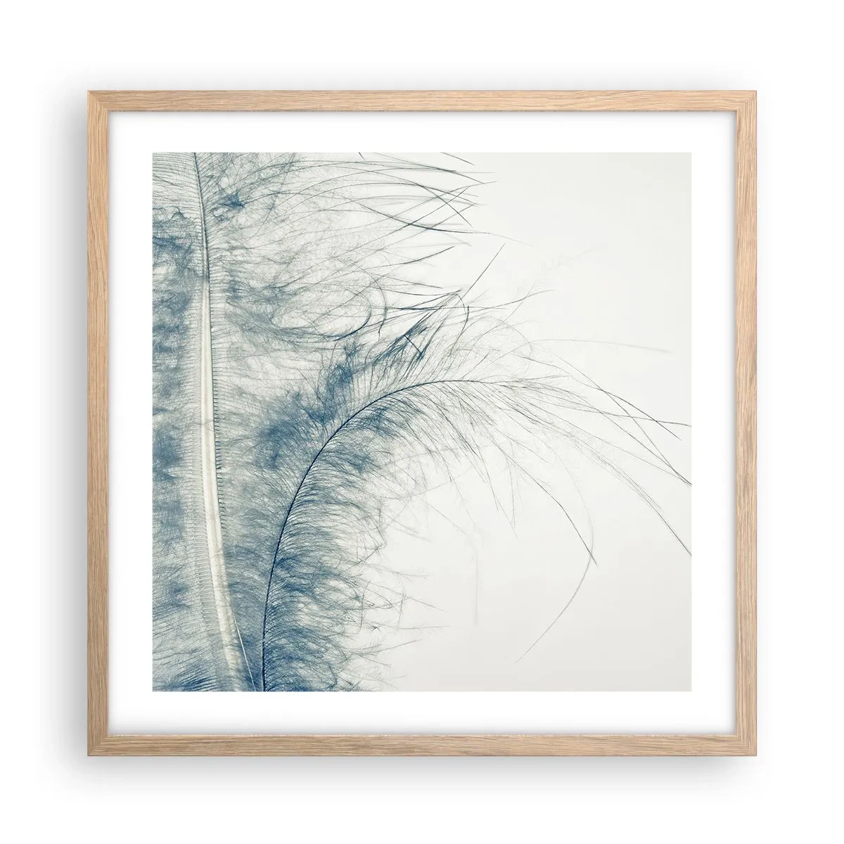 Plakat w ramie jasny dąb - Szept natury - 50x50 cm