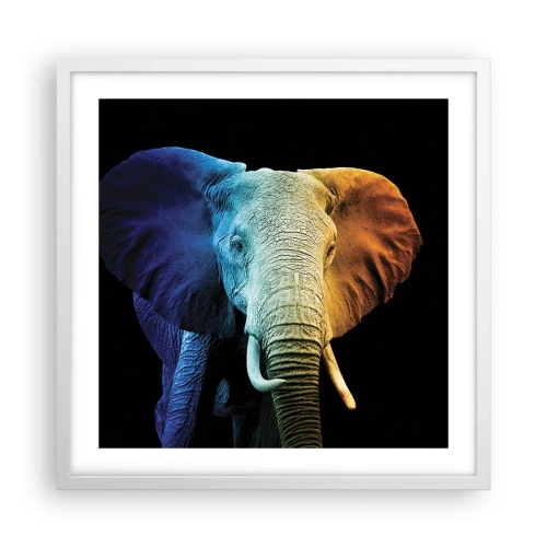 Plakat w białej ramie - Ekscentryk, nie dziwak - 50x50 cm