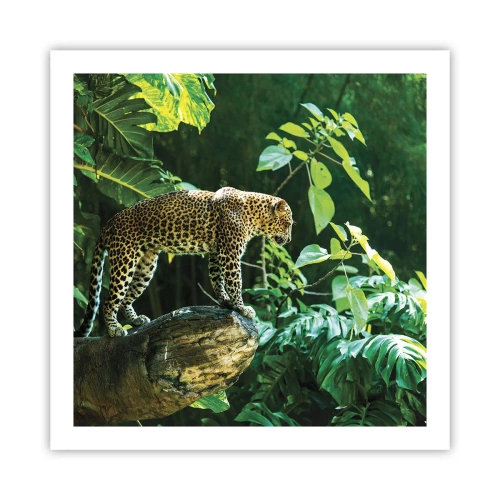 Plakat - Na łowy? - 60x60 cm