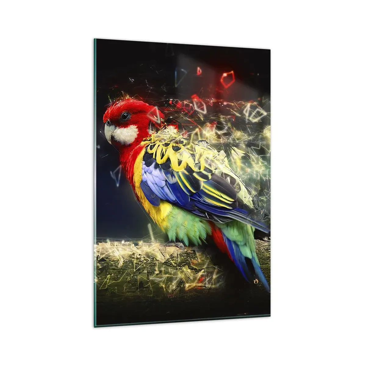 Obraz na szkle - Papuga w żywych kolorach na tle efektów świetlnych - 80x120cm - Posłaniec blasku - Nowoczesna dekoracja ścienna do salonu i sypialni ARTTOR