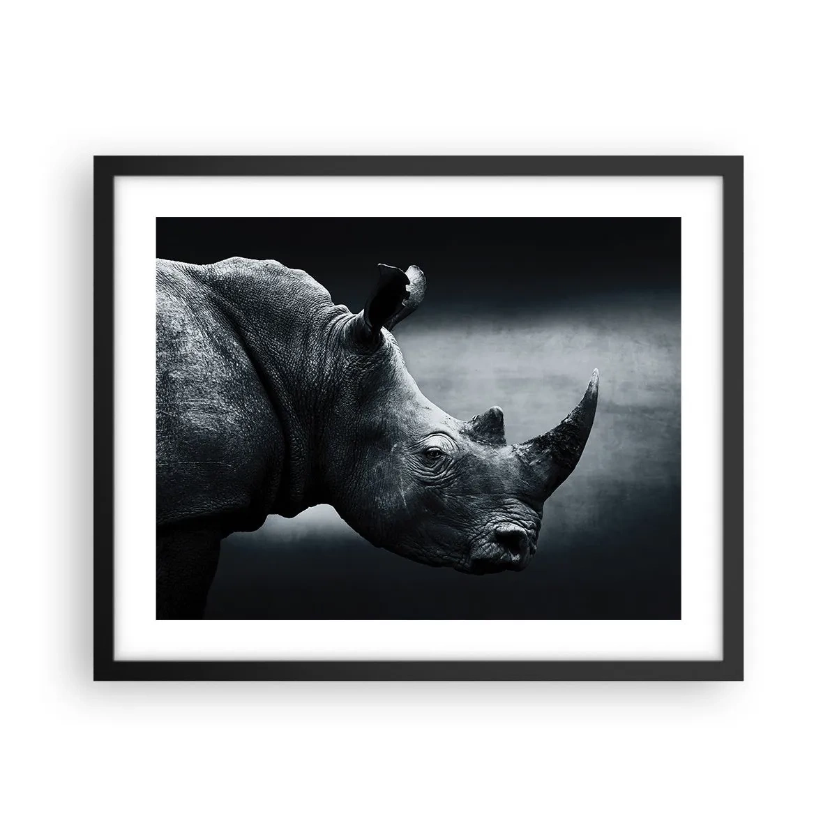 Plakat w czarnej ramie - Prawy profil - 50x40 cm