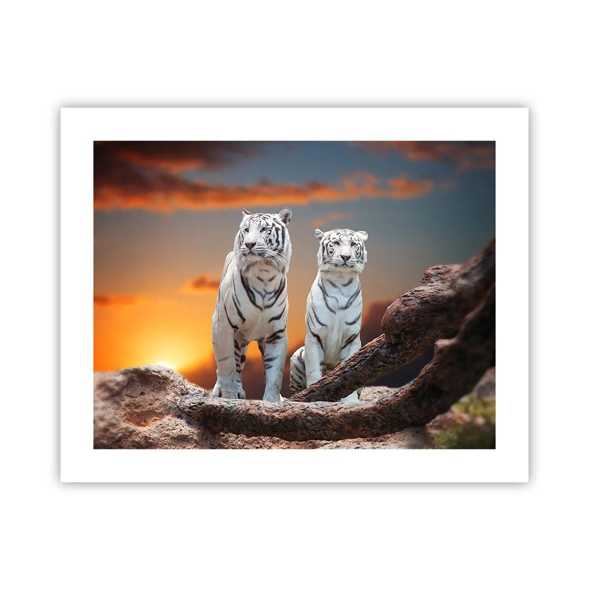 Plakat - Zupełnie jak w Narni - 50x40 cm