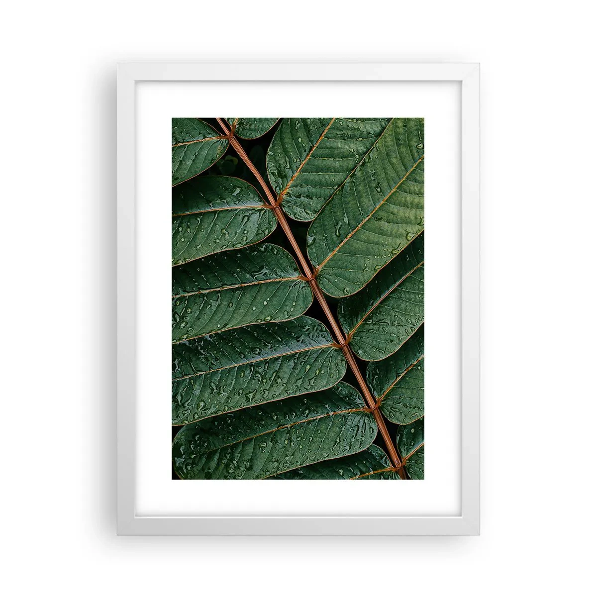 Plakat w białej ramie - W zielonym rytmie - 30x40 cm