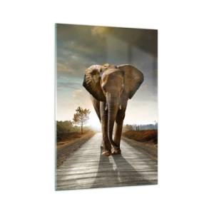 Obraz na szkle - Słoń kroczący drogą wśród krajobrazu o zachodzie słońca - 70x100cm - I wcale nie w składzie porcelany - Nowoczesna dekoracja ścienna do salonu i sypialni ARTTOR