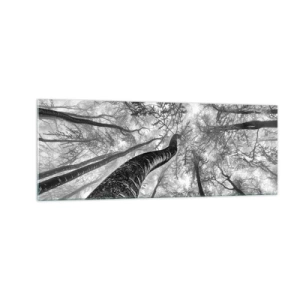 Obraz na szkle - Perspektywa drzew w lesie widzianych od dołu w odcieniach szarości - 140x50cm - Wyścig do światła - Nowoczesna dekoracja ścienna do salonu i sypialni ARTTOR