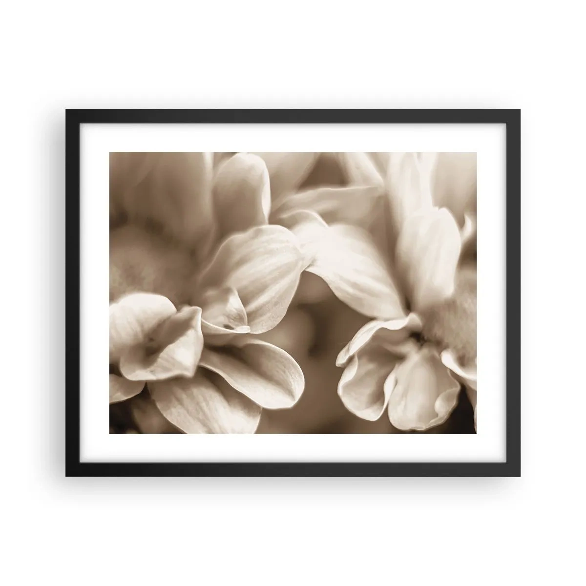 Plakat w czarnej ramie - Łagodne jak uśmiech - 50x40 cm