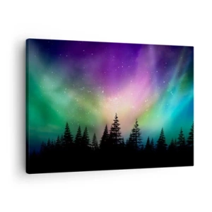 Obraz na płótnie - Zorza polarna nad lasem z gwieździstym niebem - 70x50cm - Biała magia - Nowoczesna dekoracja ścienna do salonu i sypialni ARTTOR