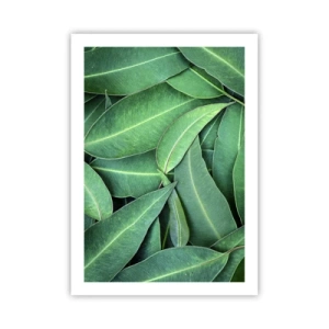 Plakat - Zielone liście ułożone w gęstą kompozycję - 50x70cm - Soczyste i świeże - Nowoczesna dekoracja ścienna do salonu, kuchni i sypialni ARTTOR