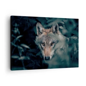 Obraz na płótnie - Wilk w naturalnym otoczeniu, spoglądający z głębi lasu - 70x50cm - Łowca - Nowoczesna dekoracja ścienna do salonu i sypialni ARTTOR