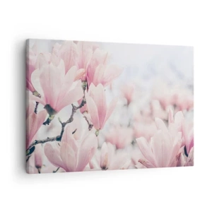 Obraz na płótnie - Subtelne kwiaty magnolii w delikatnych różowych odcieniach - 70x50cm - Ideał subtelności - Nowoczesna dekoracja ścienna do salonu i sypialni ARTTOR