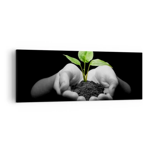Obraz na płótnie - Dłonie trzymające zieloną roślinę na czarnym tle - 140x50cm - Kocham naturę, chronię ją - Nowoczesna dekoracja ścienna do salonu i sypialni ARTTOR