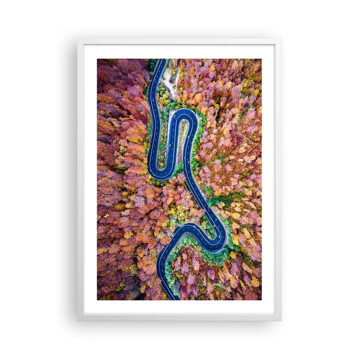 Plakat w białej ramie - Krętą drogą poprzez las - 50x70 cm