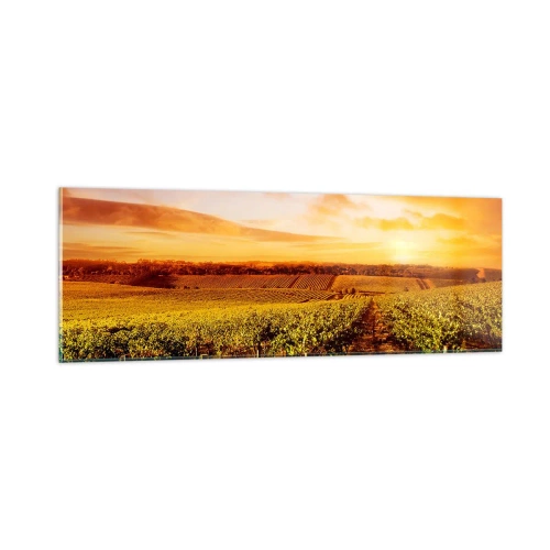 Obraz na szkle - Delikatnie owocowe z nutą słońca - 90x30 cm