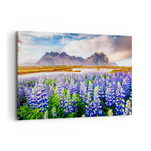 Obraz na płótnie - Kwiaty w górskim krajobrazie z malowniczym niebem - 100x70cm - Siła i surowość obok łagodności - Nowoczesna dekoracja ścienna do salonu, kuchni i sypialni ARTTOR