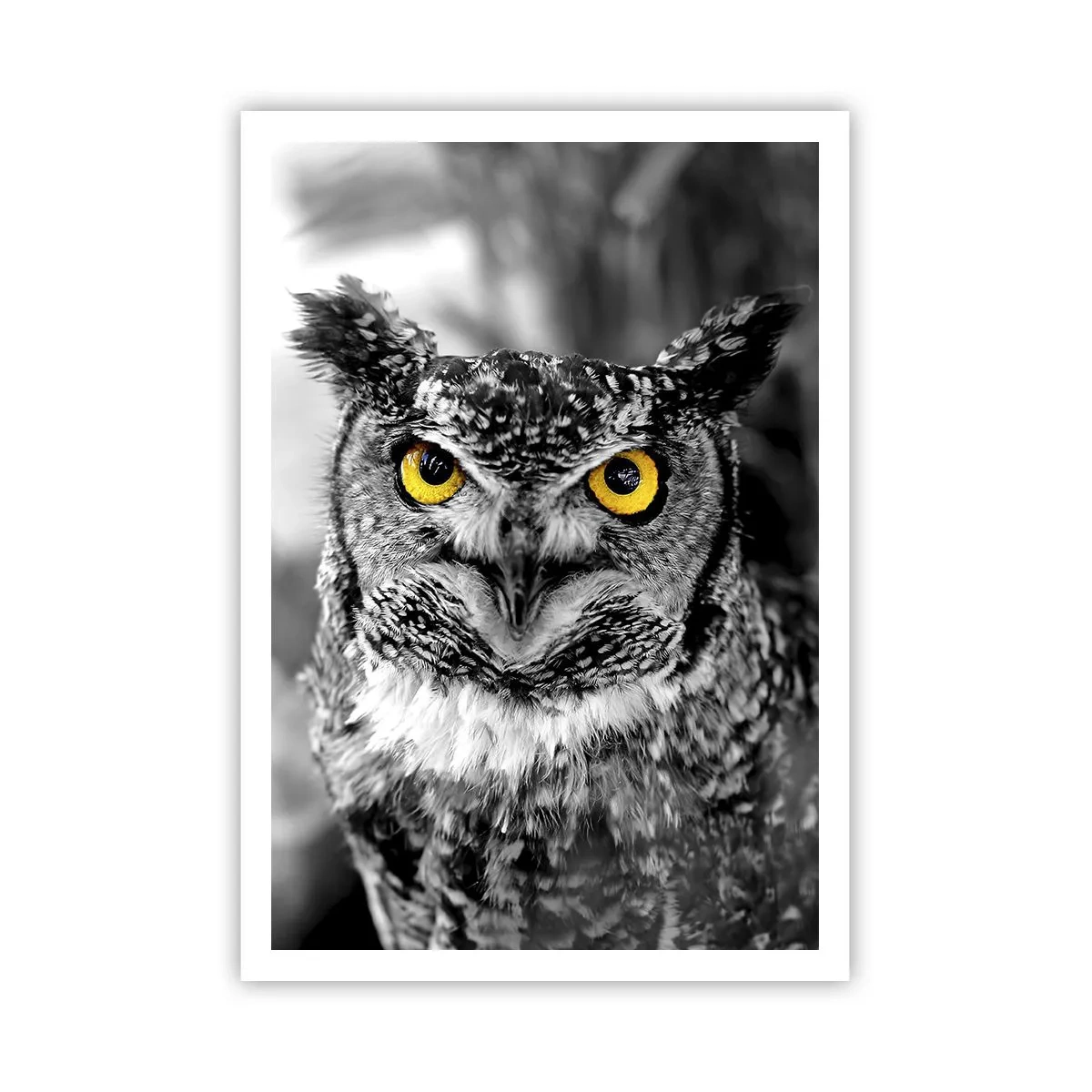 Plakat - Nic się nie ukryje - 70x100 cm