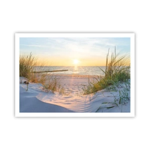 Plakat - Piaszczysta plaża z widokiem na zachodzące słońce nad morzem - 100x70cm - Morza szum, ptaków śpiew, dzika plaża pośród traw… - Nowoczesna dekoracja ścienna do salonu i sypialni ARTTOR