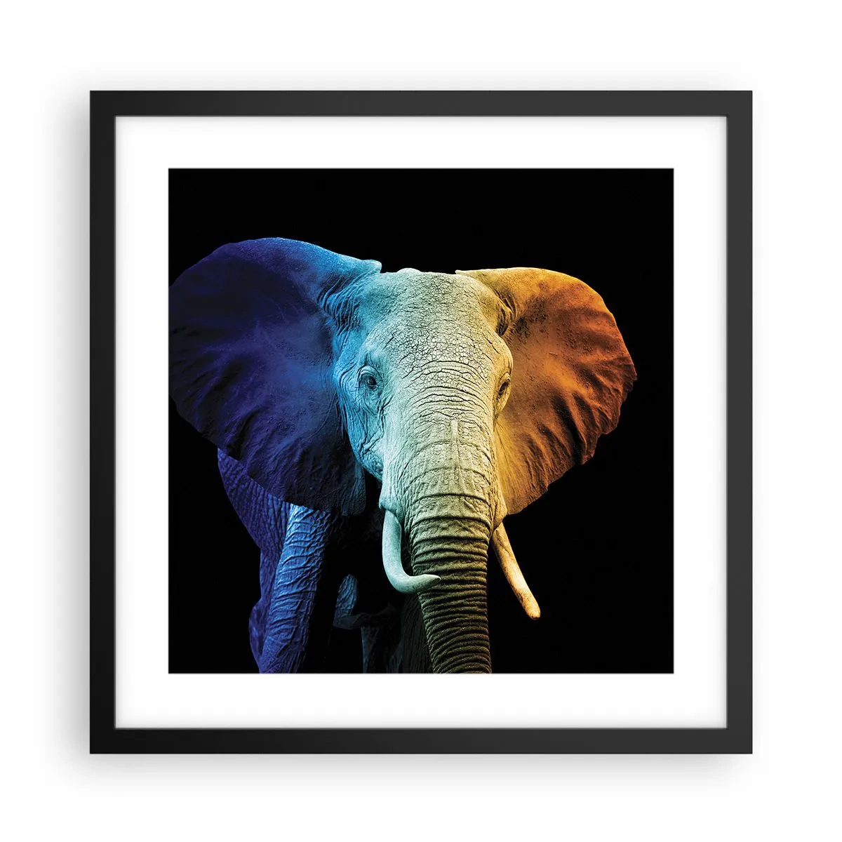 Plakat w czarnej ramie - Ekscentryk, nie dziwak - 40x40 cm