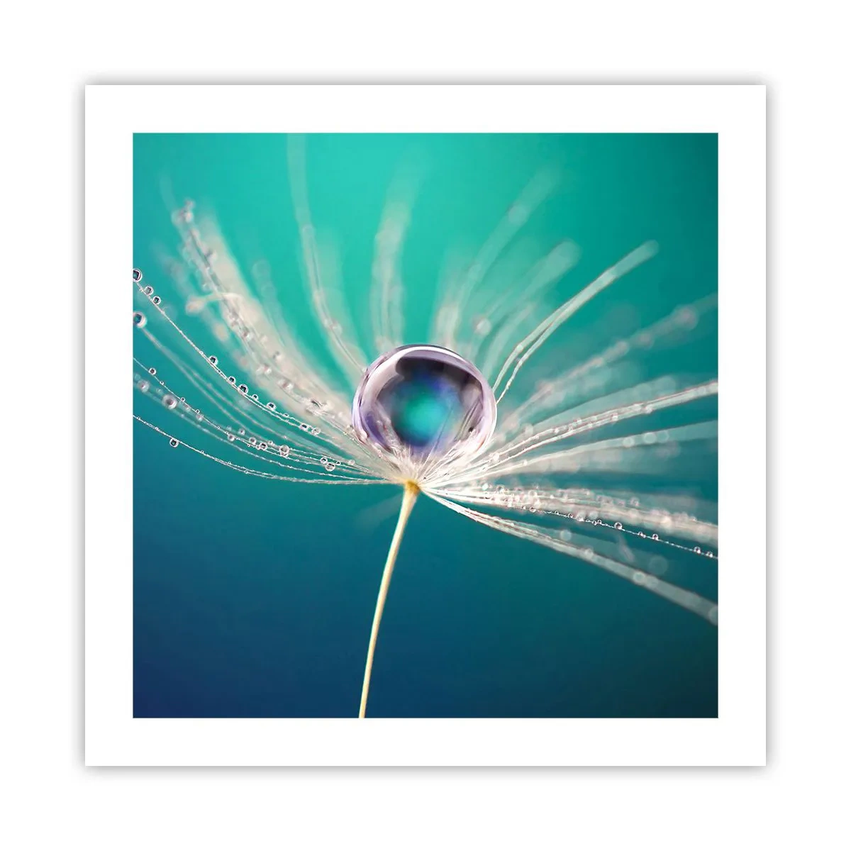 Plakat - Mistyczna chwila - 50x50 cm