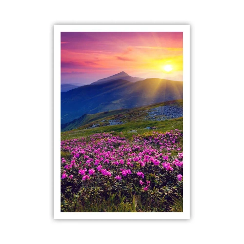 Plakat - … A dokoła pachnie kosodrzewina i wonieją zioła - 70x100 cm