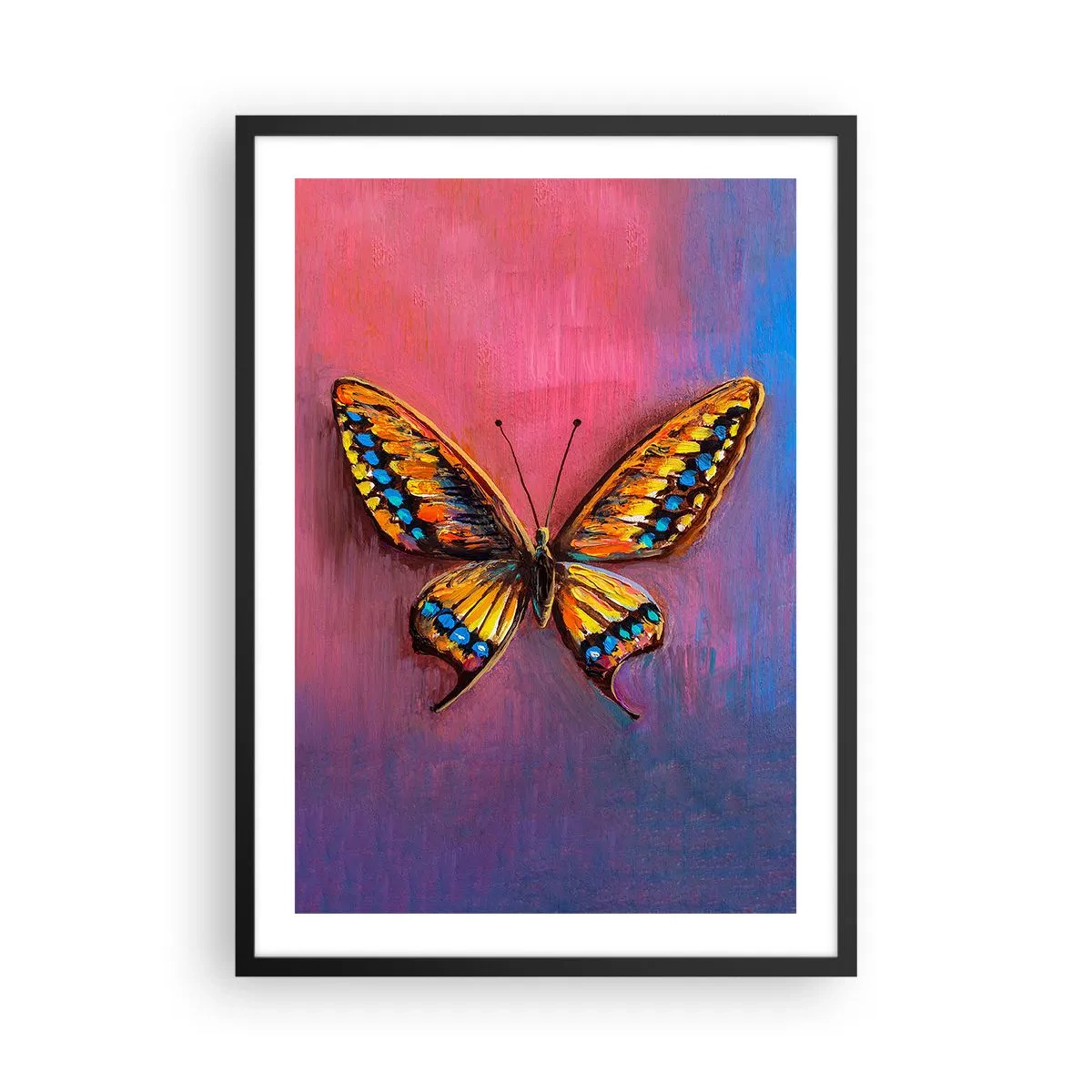 Plakat w czarnej ramie - Kolorowy motyl na artystycznym tle z intensywnymi barwami - 50x70cm - Klejnot natury - Nowoczesna dekoracja ścienna do salonu i sypialni ARTTOR