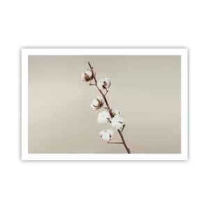 Plakat - U źródła miękkości - 91x61 cm