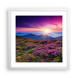 Plakat w białej ramie - Ziół zapachniały świeże pęki od niw - 40x40 cm