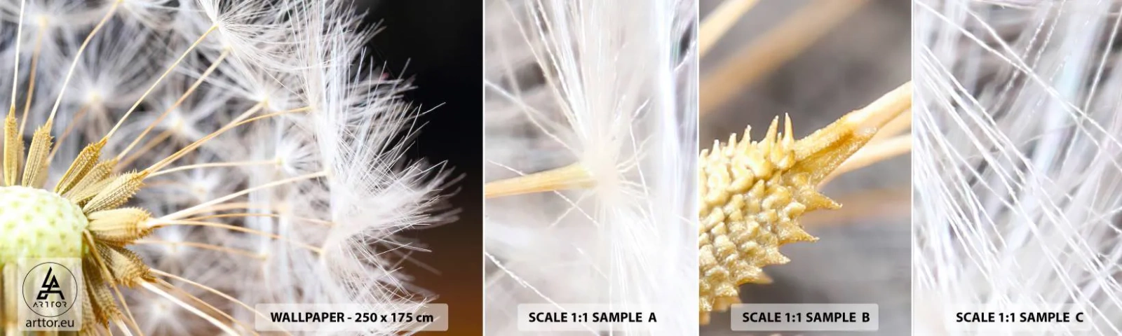 Fototapeta Próbka Samoprzylepna Deluxe Sticker - Tuż przed odlotem - Kwiat, Roślina, Natura - 100x30 cm