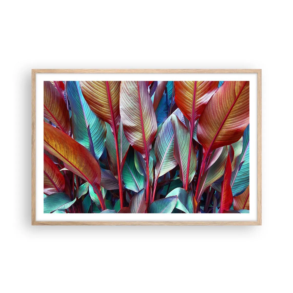 Plakat w ramie jasny dąb - Kolorowy gąszcz - 91x61 cm