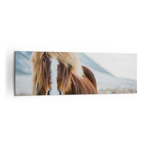 Obraz na płótnie - Koń islandzki na tle górskiego krajobrazu - 160x50cm - Czujesz wolność? - Nowoczesna dekoracja ścienna do salonu i sypialni ARTTOR