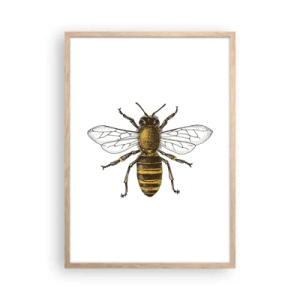 Plakat w ramie jasny dąb - Piękna i dobra - 50x70 cm