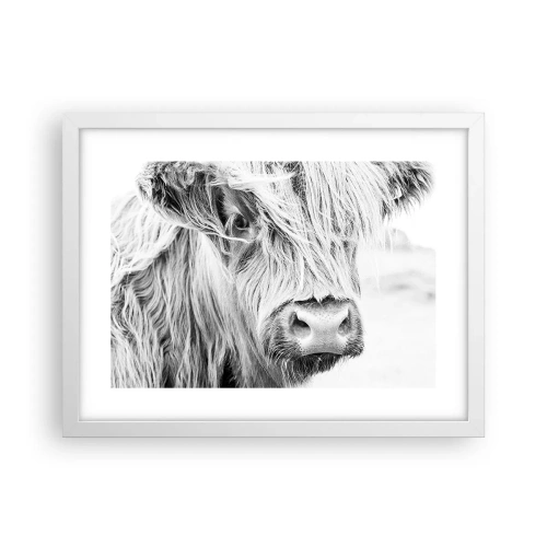 Plakat w białej ramie - Szkocka dzikość - 40x30 cm