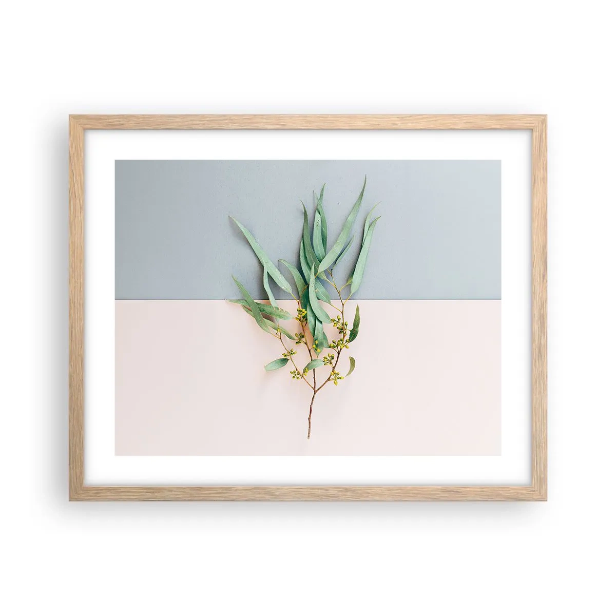 Plakat w ramie jasny dąb - Pastelowa subtelność - 50x40 cm
