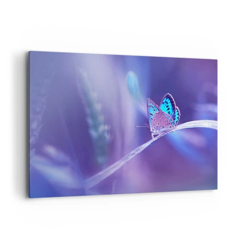 Obraz na płótnie - Delikatny niebieski motyl na łodydze w świetle fioletowym - 100x70cm - Klejnot natury - Nowoczesna dekoracja ścienna do salonu, kuchni i sypialni ARTTOR
