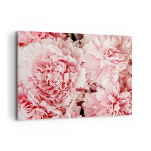 Obraz na płótnie - Subtelne różowe piwonie w delikatnym ujęciu - 100x70cm - Różowe marzenie - Nowoczesna dekoracja ścienna do salonu, kuchni i sypialni ARTTOR