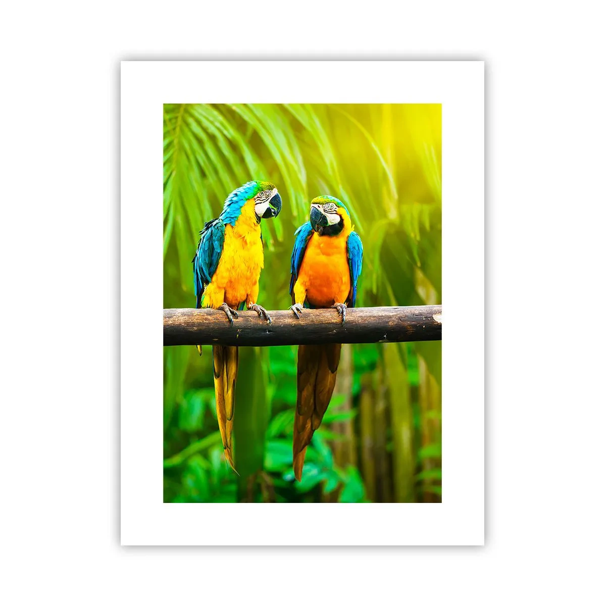 Plakat - A słyszałaś, że ona…? - 30x40 cm