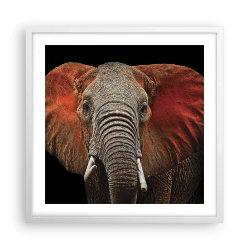 Plakat w białej ramie - Jestem dziki, a ty? - 50x50 cm