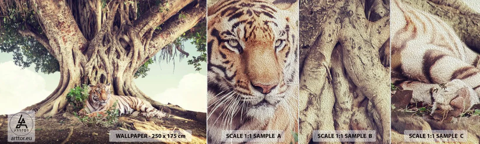 Fototapeta Próbka Premium Sand - Widok z Księgi Rodzaju - Tygrys Bengalski, Indie, Krajobraz - 100x30 cm