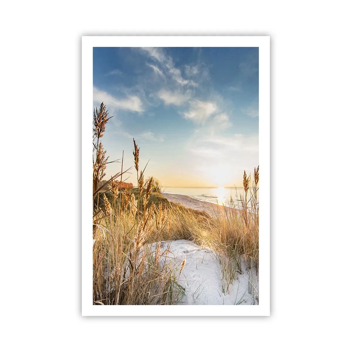 Plakat - Północna plaża - 61x91 cm