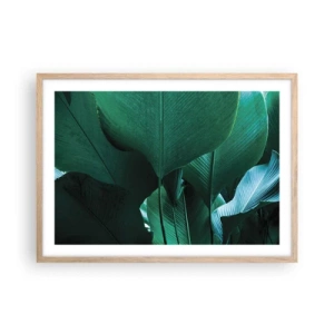 Plakat w ramie jasny dąb - Zwrócone do światła - 70x50 cm