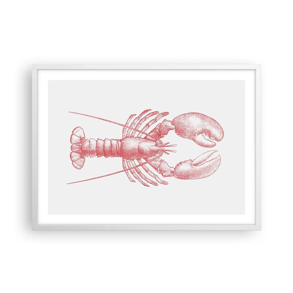 Plakat w białej ramie - Homar godny Homera - 70x50 cm