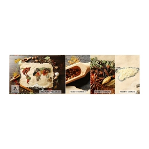 Fototapeta Próbka Standard Eco - Wszystkie smaki świata - Gastronomia, Mapa Świata, Suszone Przyprawy - 100x30 cm
