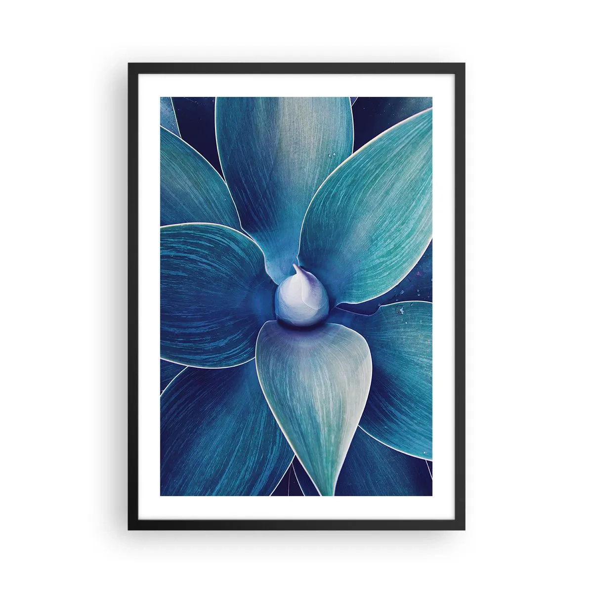 Plakat w czarnej ramie - Detal dużego kwiatu w odcieniach niebieskiego - 50x70cm - Zbłękitniały od nieba - Nowoczesna dekoracja ścienna do salonu i sypialni ARTTOR