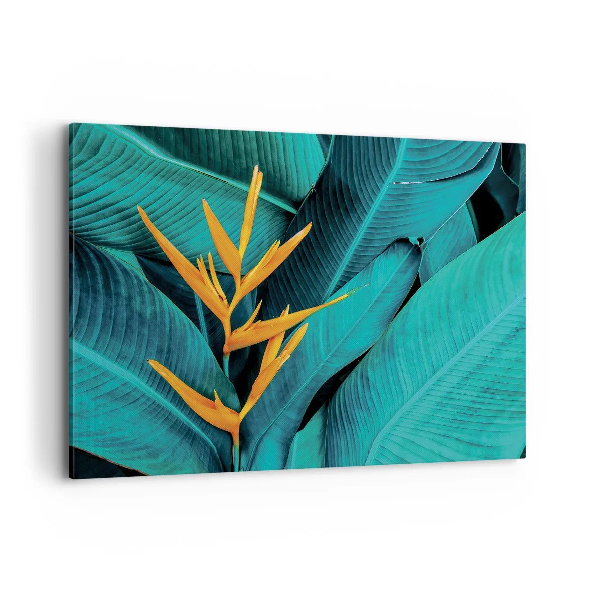 Obraz na płótnie - Egzotyczny kwiat na tle liści bananowca w turkusowych odcieniach - 100x70cm - Kwiat Edenu - Nowoczesna dekoracja ścienna do salonu, kuchni i sypialni ARTTOR