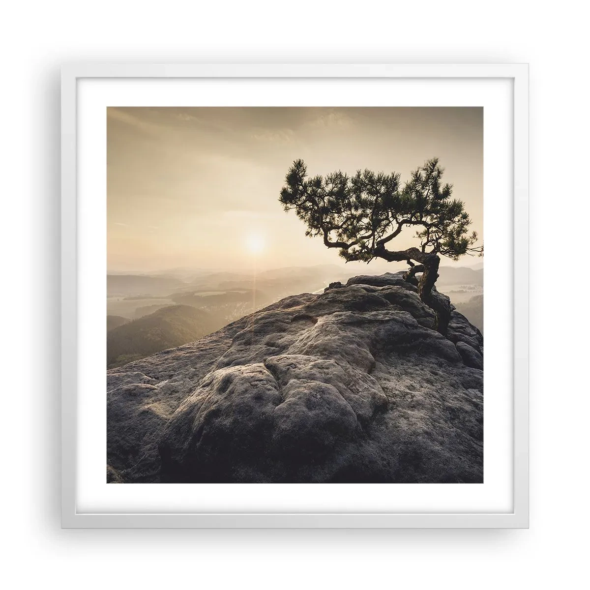 Plakat w białej ramie - Życie zawsze zwycięża - 50x50 cm