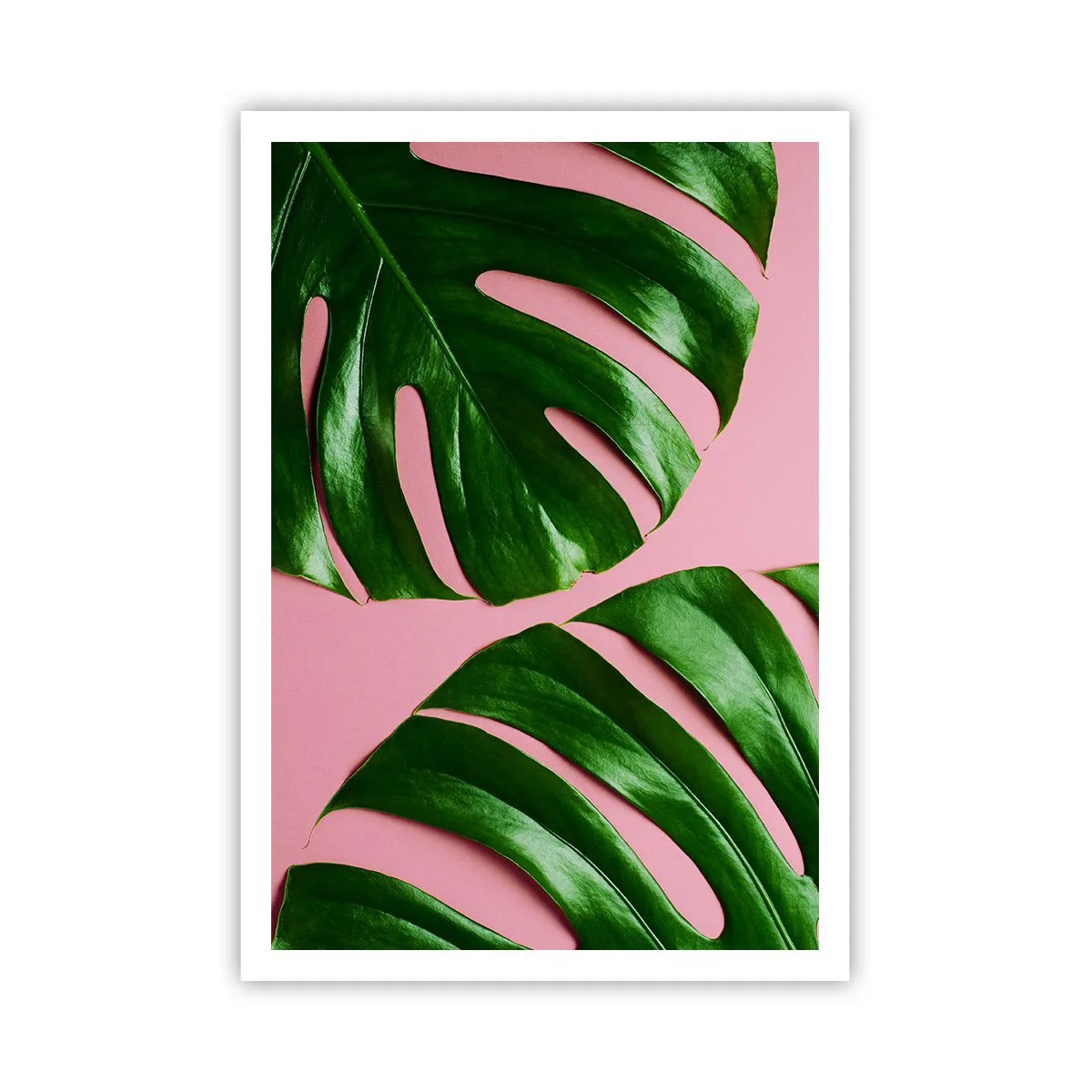 Plakat - Zielone rendez-vous - 70x100 cm