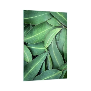 Obraz na szkle - Zbliżenie na zielone liście tworzące naturalny wzór - 70x100cm - Soczyste i świeże - Nowoczesna dekoracja ścienna do salonu i sypialni ARTTOR