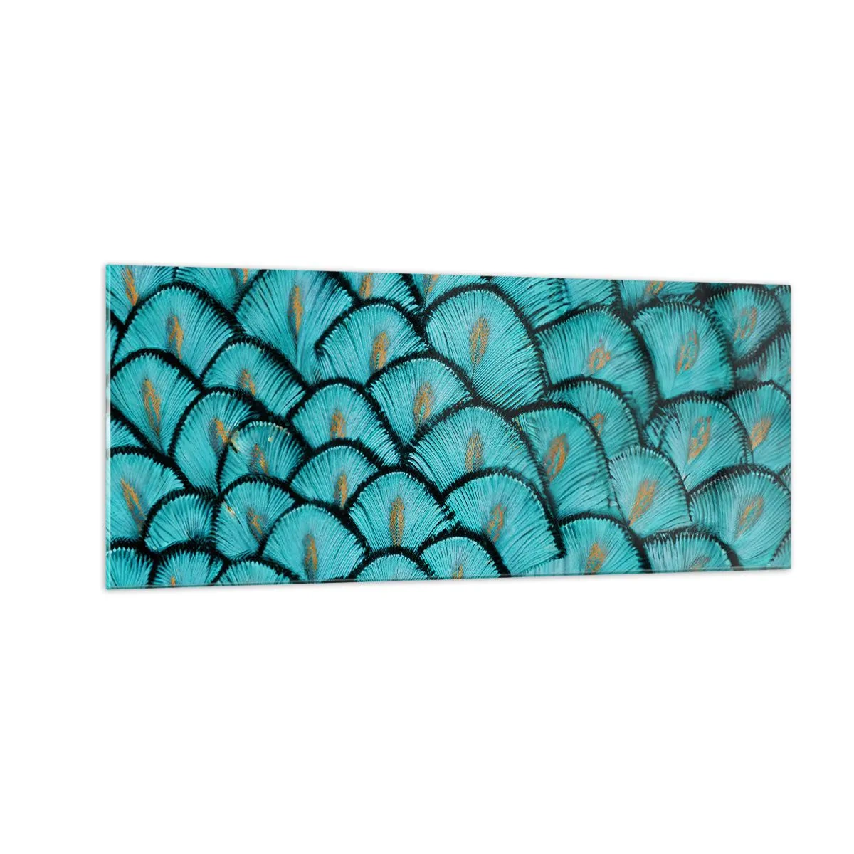 Obraz na szkle - Wielka gala piór - 100x40 cm