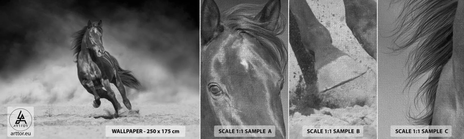 Fototapeta Próbka Premium Canvas - Godny samego emira - Koń, Zwierzęta, Natura - 100x30 cm